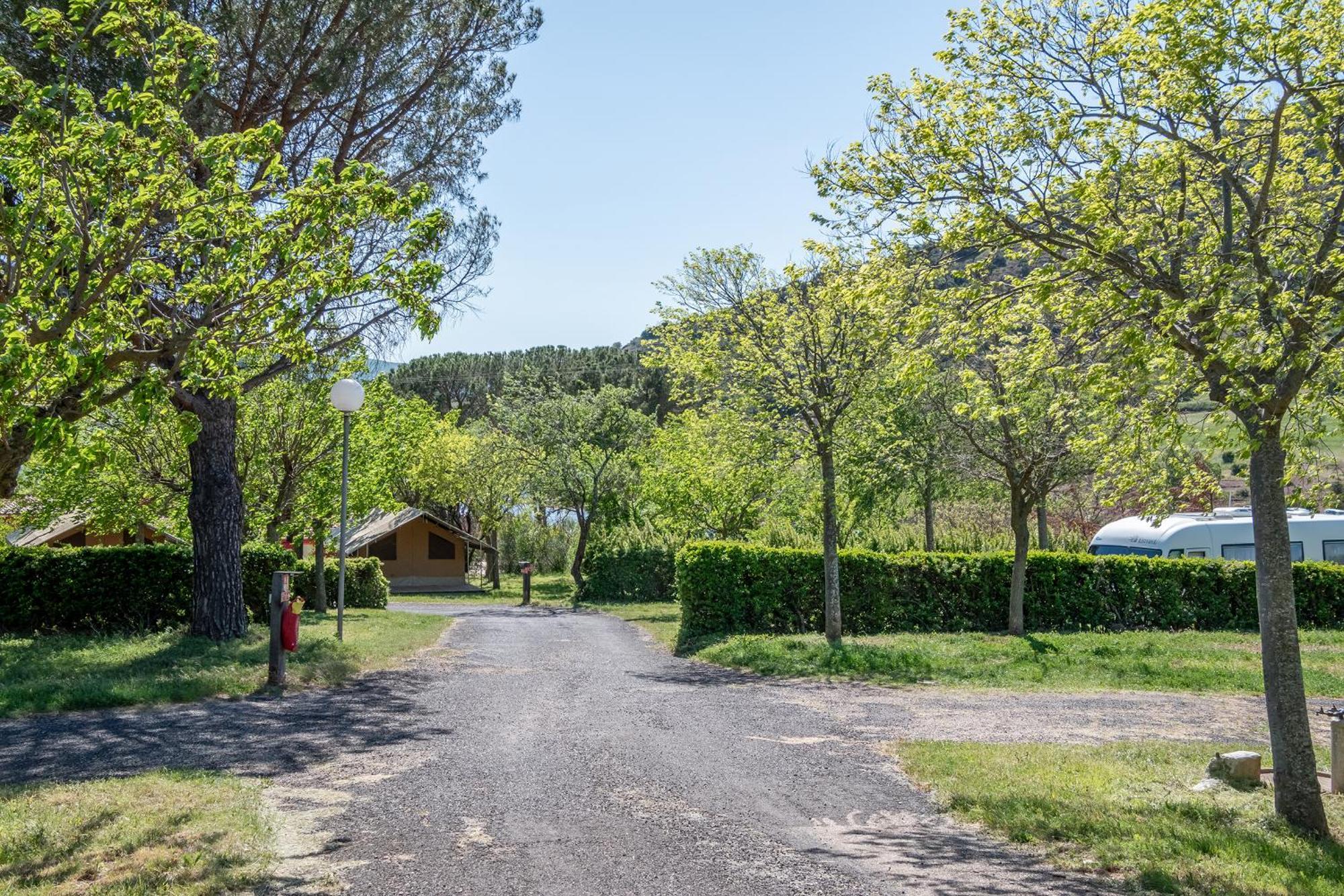 Lodève Camping Onlycamp Les Vailhes חדר תמונה